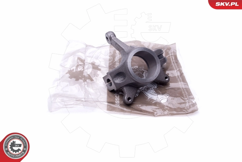 Steering Knuckle, wheel suspension